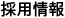 採用情報