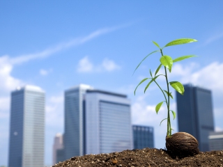 環境・エネルギー問題に向けた取り組み